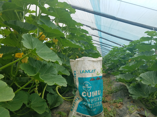 化肥,進口,菌肥