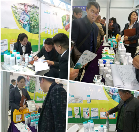 楊凌農(nóng)高會(huì),拉姆拉 楊凌農(nóng)高會(huì),拉姆拉