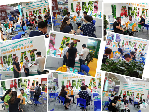 新疆，植保會(huì)，拉姆拉，翠姆，伯示麥