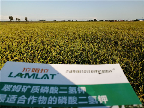 葉面肥，磷酸二氫鉀