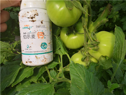 葉面肥，磷酸二氫鉀，鈣肥