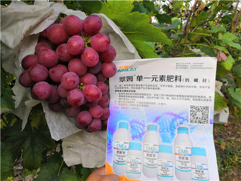 水溶肥，鈣肥，硼肥