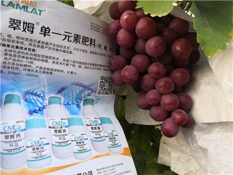 水溶肥，鈣肥，硼肥