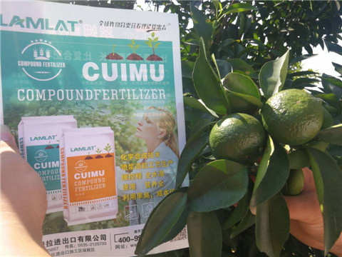 菌劑，水溶肥，