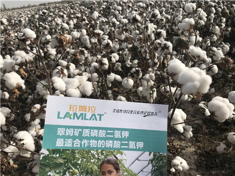 水溶肥，根碧多，生物菌劑