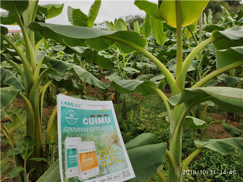 葉面肥，微生物菌劑，硼肥，水溶肥