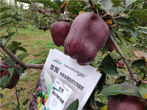 微生物菌劑，