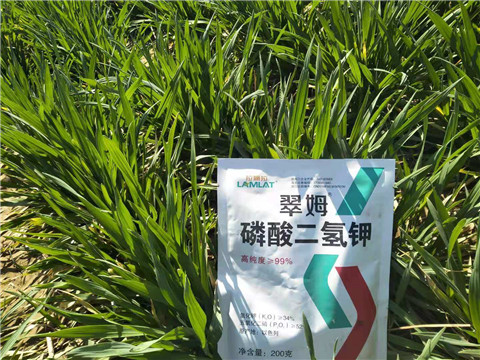 磷酸二氫鉀，