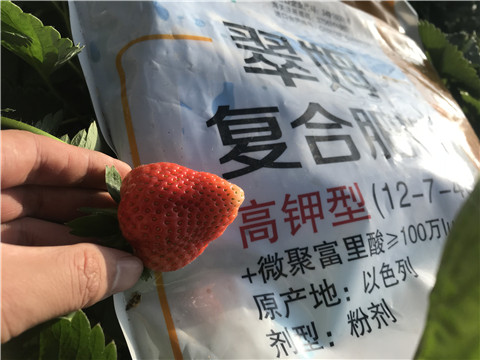 水溶，拉姆拉，翠姆