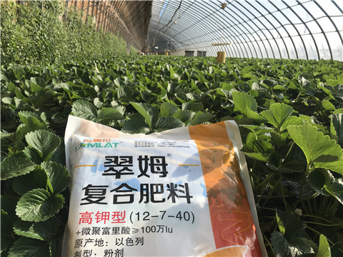 水溶，拉姆拉，翠姆