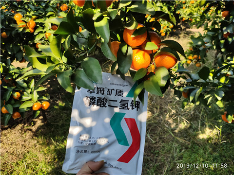 水溶肥，磷酸二氫鉀