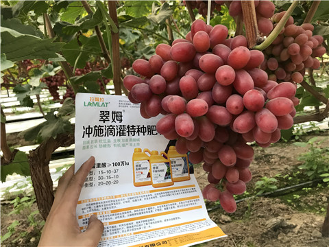 沖施肥，拉姆拉