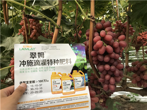 沖施肥，拉姆拉