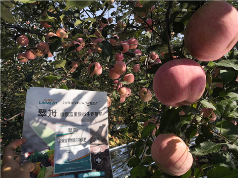 水溶肥，磷酸二氫鉀，微生物菌劑