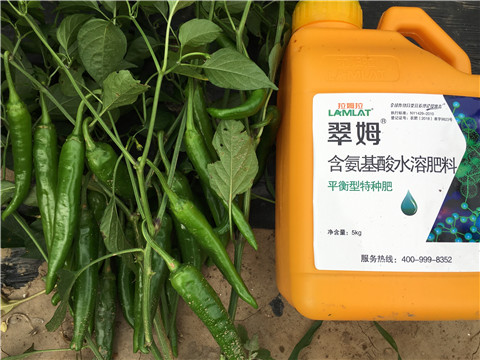 根碧多，微生物菌，葉面肥