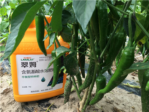 根碧多，微生物菌，葉面肥