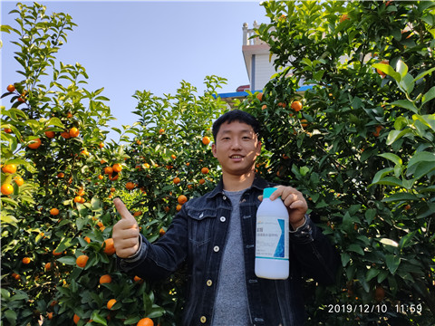 硼肥，拉姆拉