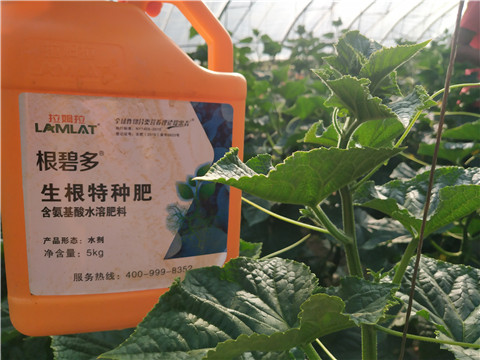 拉姆拉，根碧多，微生物菌劑