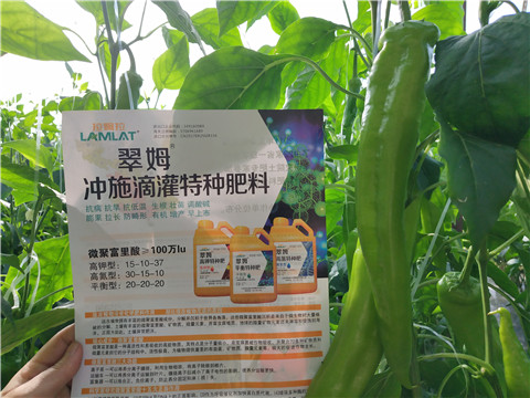 水溶肥，硼肥