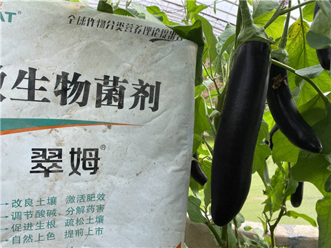 微生物菌劑，拉姆拉