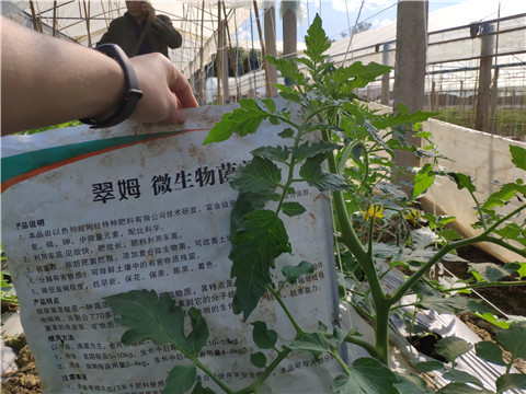 微生物菌劑 ，拉姆拉翠姆