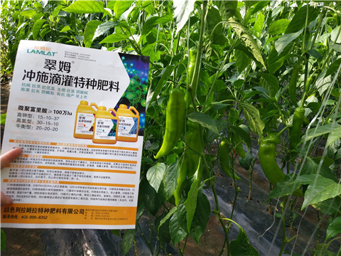 水溶肥，拉姆拉