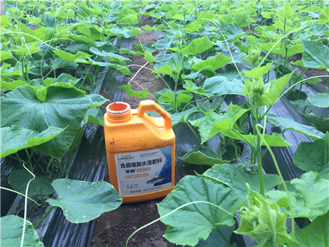 水溶肥，拉姆拉