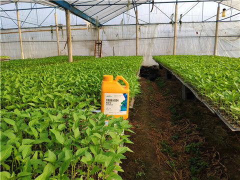 水溶肥，