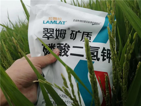 農(nóng)資經(jīng)銷商，拉姆拉，磷酸二氫鉀