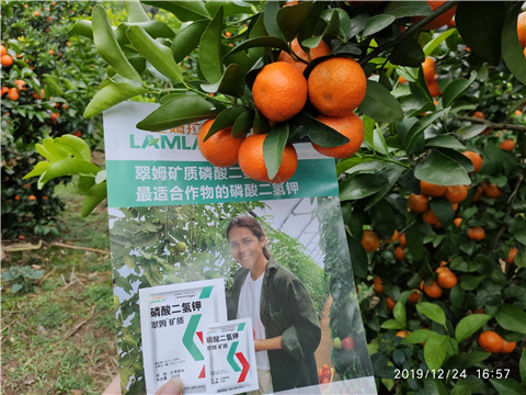 磷酸二氫鉀，葉面肥