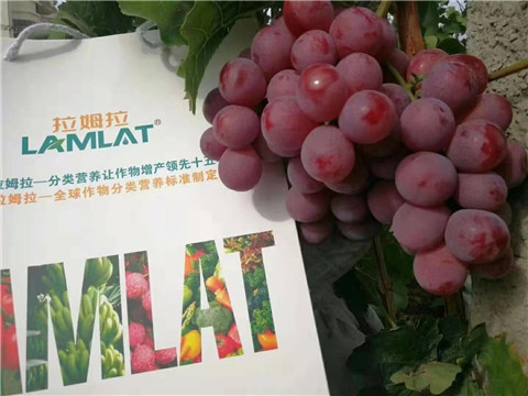 葉面肥，微生物菌劑