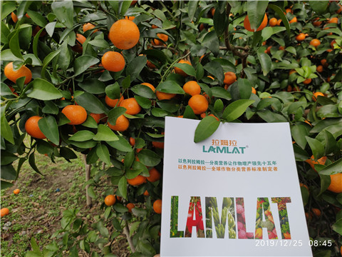 水溶肥，根碧多