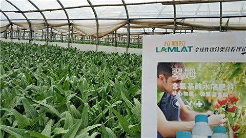 葉面肥，磷酸二氫鉀