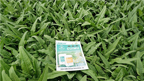 葉面肥，磷酸二氫鉀