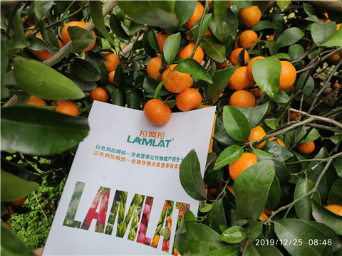 水溶肥，葉面肥