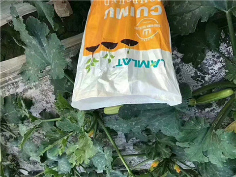 水溶肥，拉姆拉