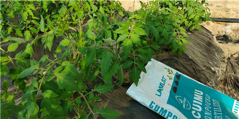 磷酸二氫鉀，鈣肥，水溶肥