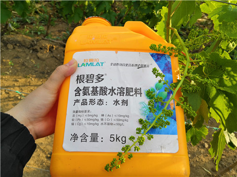 生根劑，微生物菌劑