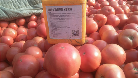 水溶肥，根碧多