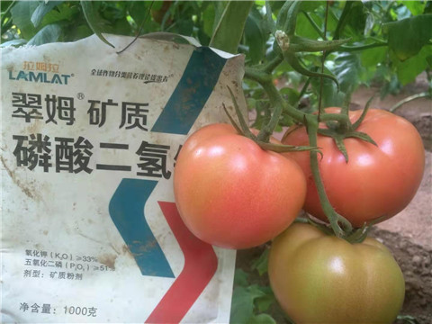 水溶肥，根碧多