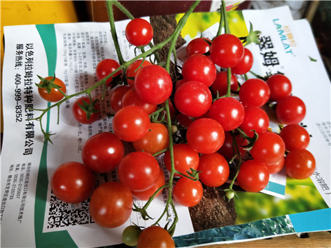 磷酸二氫鉀，鈣肥，根碧多