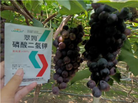 磷酸二氫鉀，葉面肥