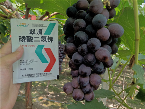 磷酸二氫鉀，葉面肥