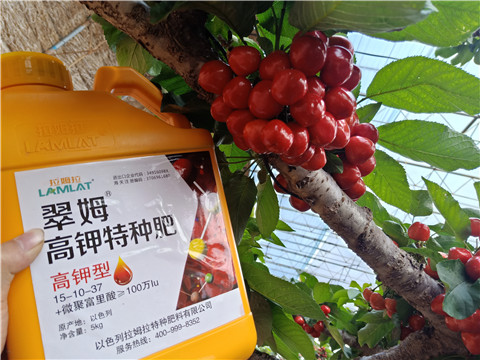 水溶肥，根碧多