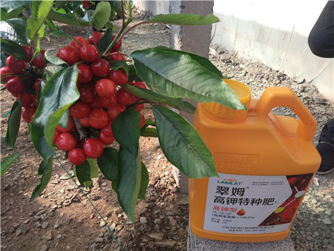 水溶肥，根碧多