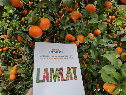 磷酸二氫鉀，鈣肥，硼肥