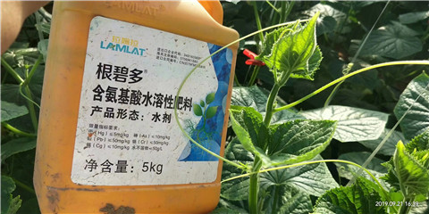 水溶肥，翠姆