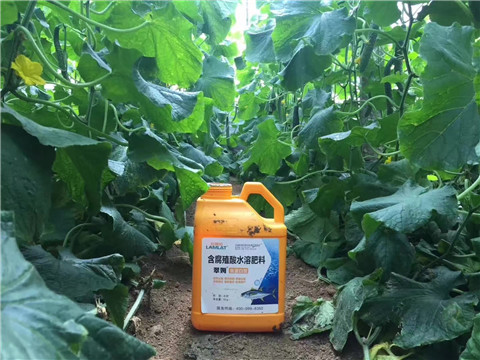 水溶肥，翠姆