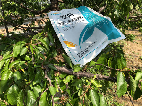 大量元素水溶肥，磷酸二氫鉀，硼肥