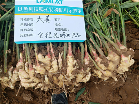 水溶肥，微生物菌劑，拉姆拉